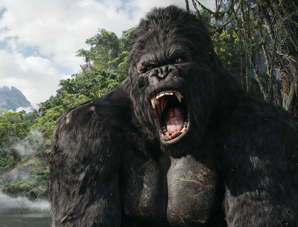 Star 24 - visuel king kong 2